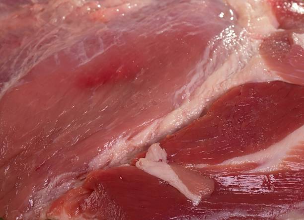 新鮮な生豚の肉 - pork meat raw animal neck ストックフォトと画像