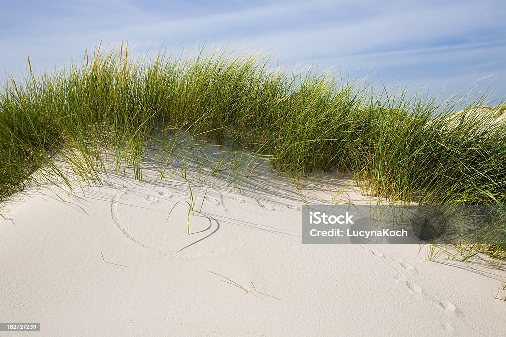 Duenenlandschaft Mit Duenengras - Lizenzfrei Blau Stock-Foto