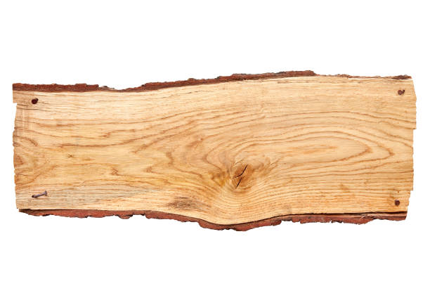 istock Oak plank of bark on a white background 182727281