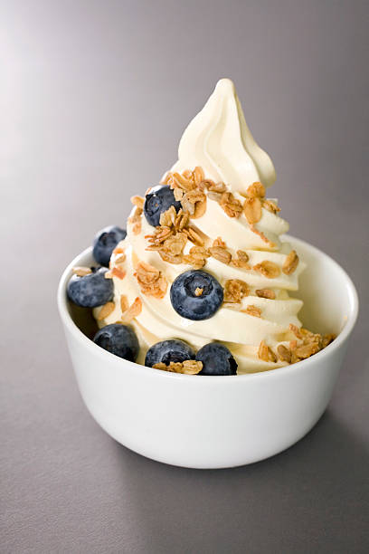 Bowl of frozen yogurt with blueberries and granola stock photo