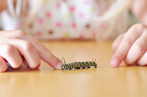 istock caterpillar crawling on a child's finger. 182727677