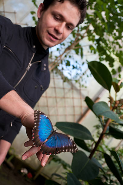 istock Colorful Butterfly On Human Hand 182727694