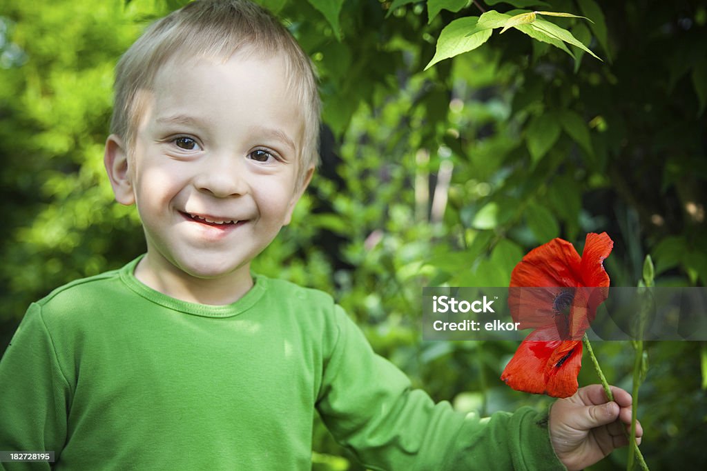 Smiling 2 years old boy with red poppy flower Smiling 2 years old boy with red poppy flower. 2-3 Years Stock Photo