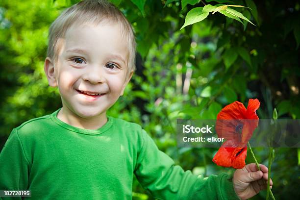 Smiling 2 Years Old Boy With Red Poppy Flower Stock Photo - Download Image Now - 2-3 Years, Boys, Child