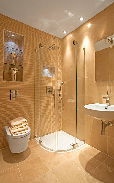 istock luxury guests shower room 182728787