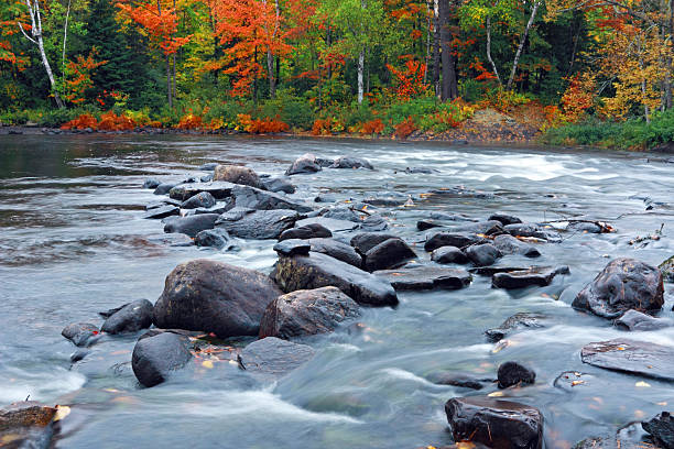 Oxtongue Rapids "Oxtongue River with fall colors on a rainy day in Haliburton County, Ontario, near Algonquin Provincial Park" huntsville ontario stock pictures, royalty-free photos & images