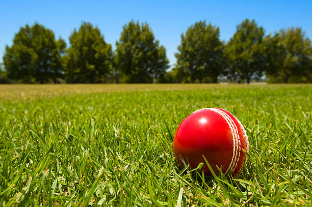 istock Cricket ball in green grass with blue sky and tree 182729028