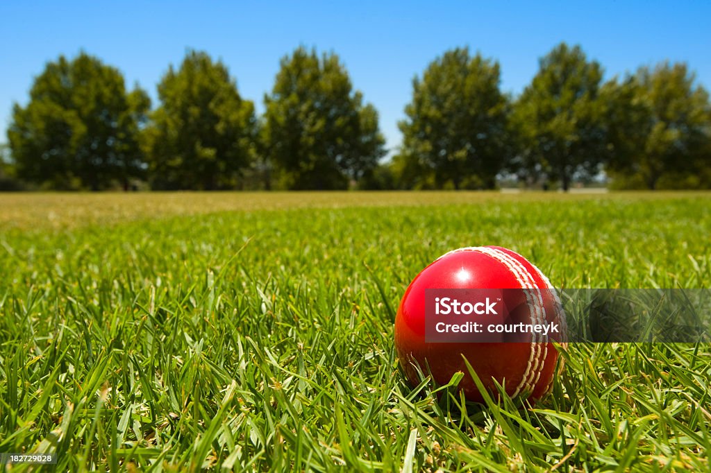 Cricket ball in green grass with blue sky and tree Cricket ball in green grass with blue sky and trees in background Cricket Ball Stock Photo