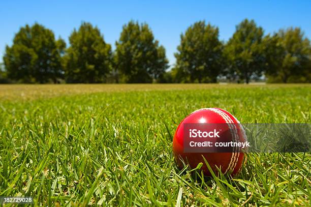 Cricket Ball In Green Grass With Blue Sky And Tree Stock Photo - Download Image Now - Cricket Ball, Grass, Agricultural Field