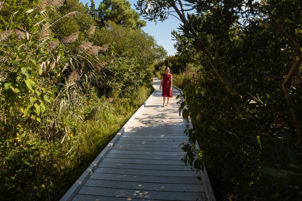 Striking vision of elegance unfolds as a woman in a red dress gracefully walks along a winding path, surrounded by lush greenery in Cape May Wetlands State Natural Area, New Jersey. The vibrant contrast between her attire and the natural surroundings creates a captivating scene of beauty and tranquility