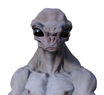 3d illustration of a somber muscled alien looking forward with large black eyes on a white background.