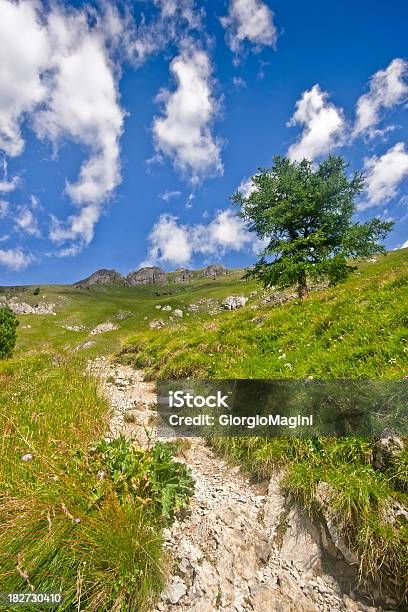 Alpine Path Uphill Upon A Blue Sky Dolomites In Summer Stock Photo - Download Image Now