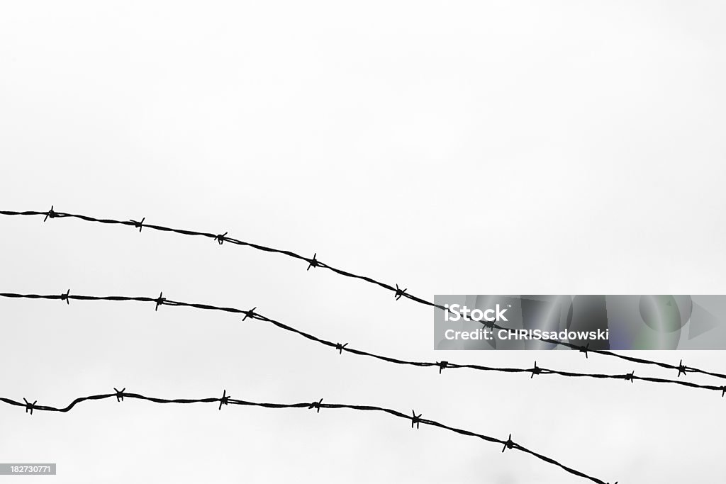 Filo spinato recinzione - Foto stock royalty-free di Filo spinato