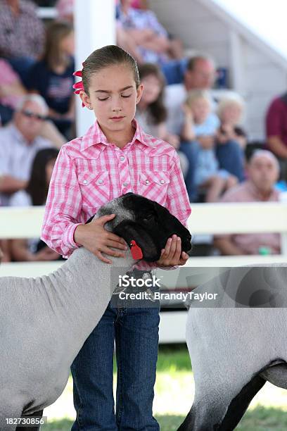 Dziewczyna Pokazując Jej Lamb W County Fair - zdjęcia stockowe i więcej obrazów Pokazywać - Pokazywać, Owca, Targi rolne
