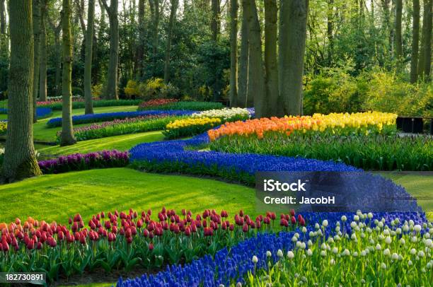 Primavera Nel Parco - Fotografie stock e altre immagini di Giardini di Keukenhof - Giardini di Keukenhof, Paesi Bassi, Acqua