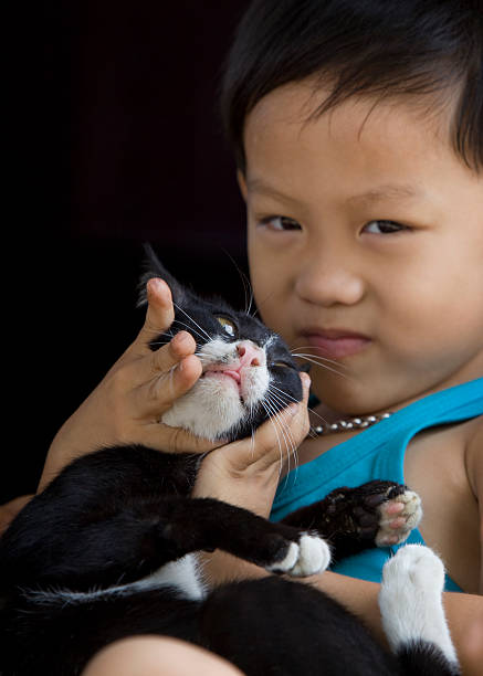 istock Asian child and his cat 182730941