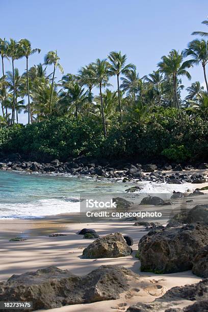 Graziosa Hawaiian Cove - Fotografie stock e altre immagini di Acqua - Acqua, Baia, Composizione verticale