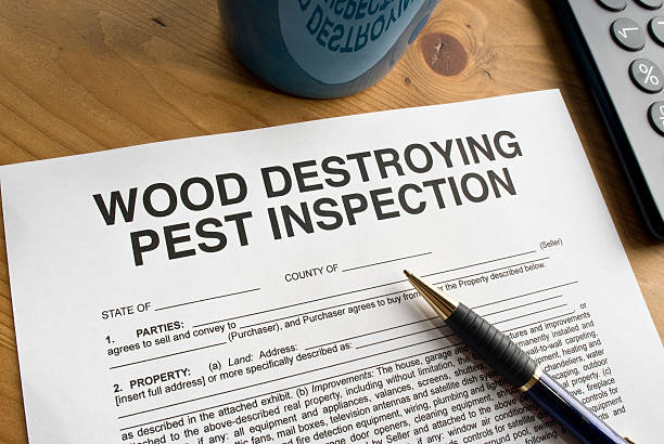 Pest Inspection Paperwork stock photo