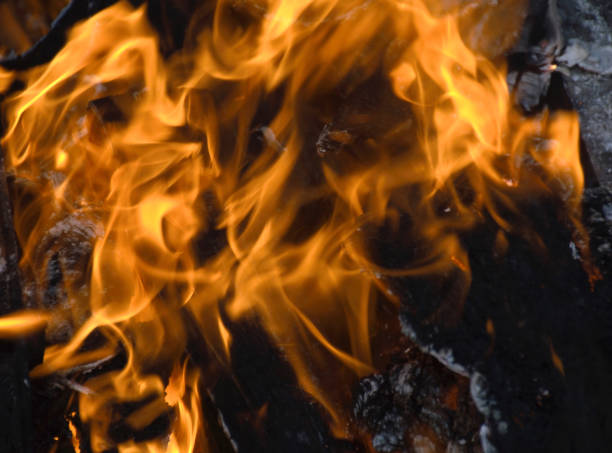istock beautiful, bright flame from burning wooden firewood 1827331072