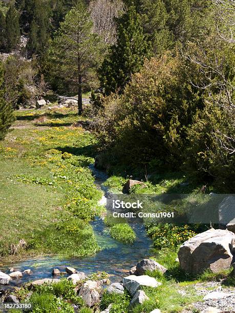 Valle Benasque Foto de stock y más banco de imágenes de Aire libre - Aire libre, Arbusto, Brezo