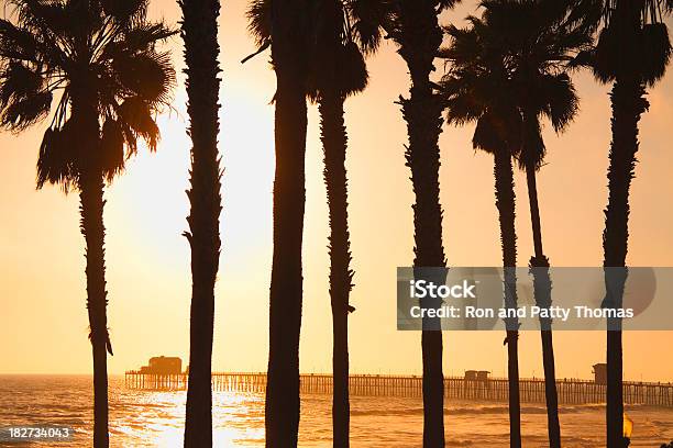 The Pier And Palm Trees At Oceanside Calif Stock Photo - Download Image Now - Bright, California, Coastline