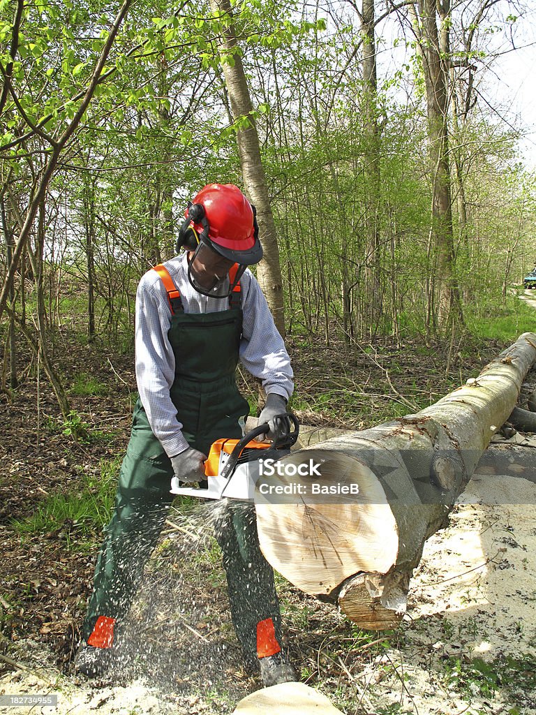 Forstwirtschaft Arbeiter mit Kettensäge - Lizenzfrei Arbeiten Stock-Foto
