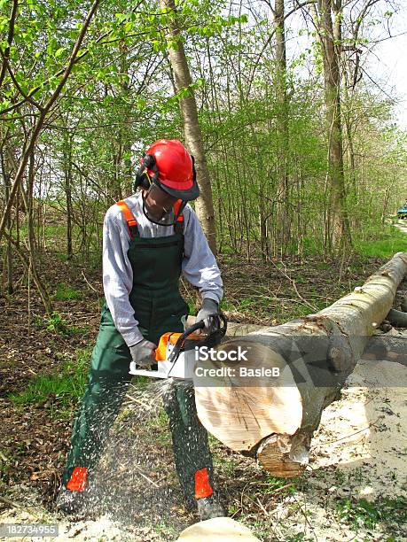 Forstwirtschaft Arbeiter Mit Kettensäge Stockfoto und mehr Bilder von Arbeiten - Arbeiten, Arbeiter, Bauholz