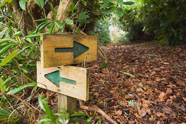 Close up of arrow signs showing a choice of paths in woodland setting.