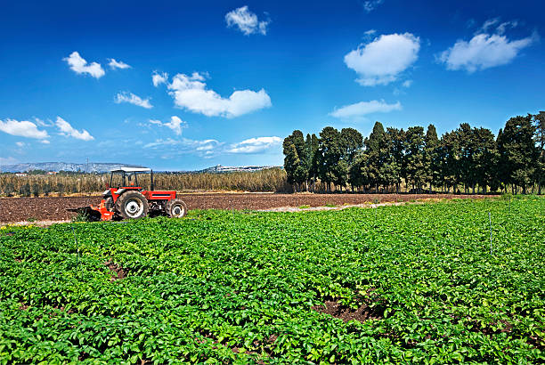 istock organic farm field 182735651