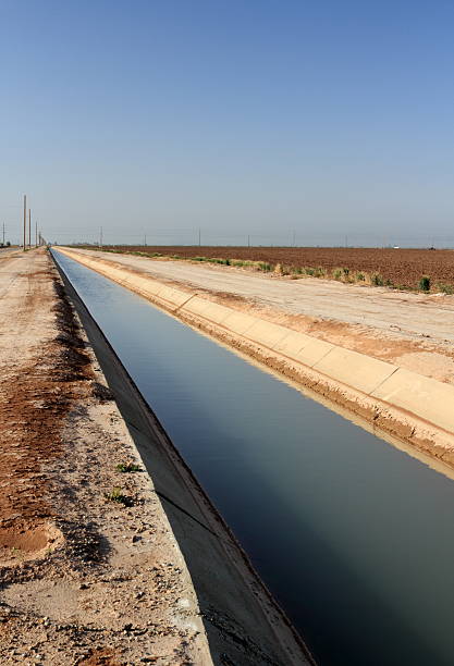 istock Agricultural Irrigation Canal Vertical 182735774