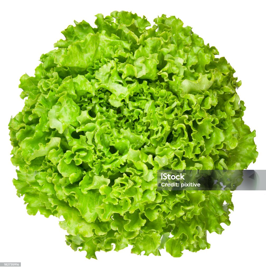 Loosehead Salat - Lizenzfrei Freisteller – Neutraler Hintergrund Stock-Foto