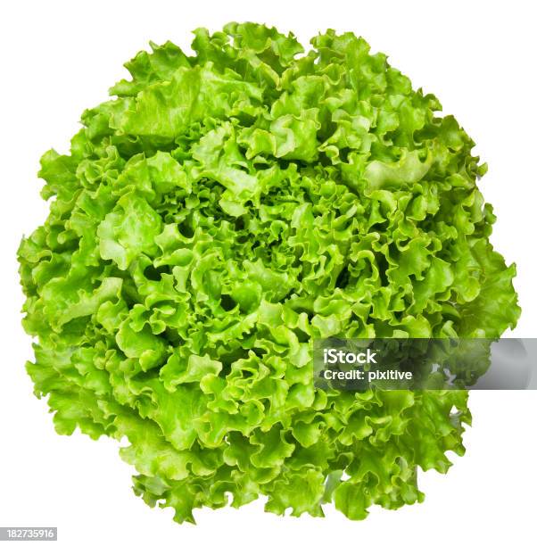 Loosehead Salat Stockfoto und mehr Bilder von Freisteller – Neutraler Hintergrund - Freisteller – Neutraler Hintergrund, Lollo Bionda, Salat - Blattgemüse