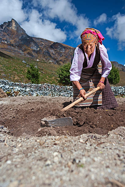 istock Nepali woman working in the field 182736276