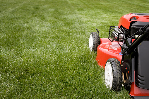 Automatic Lawnmower on lush green grass in soft morning light. Selective focus.
