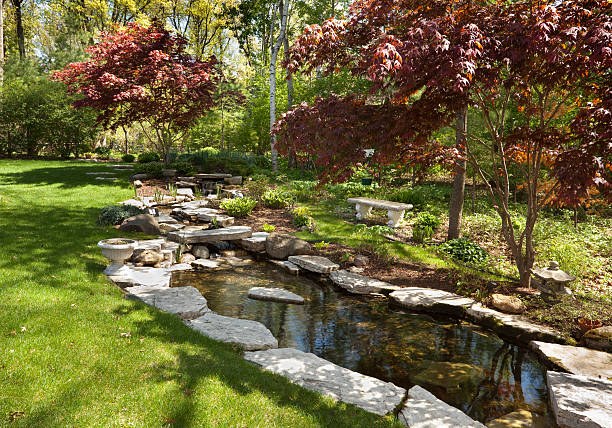 Lush Garden Back Yard With Stone Edged Pond