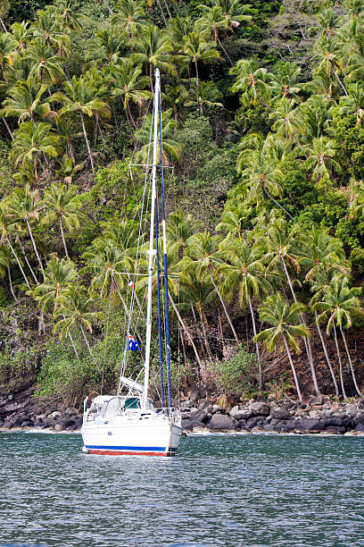 Sailboat Anchored off a Steep Palm Covered Island