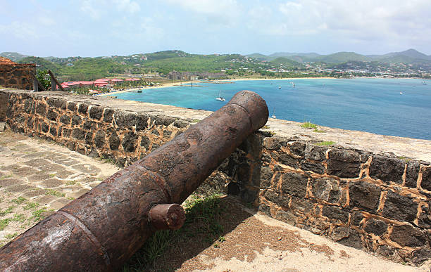 istock Canon on Pigeon Island 182736842