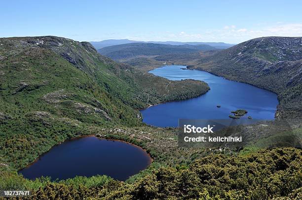 Photo libre de droit de Lac Dove banque d'images et plus d'images libres de droit de Lac Dove - Lac Dove, Tasmanie, Arbre