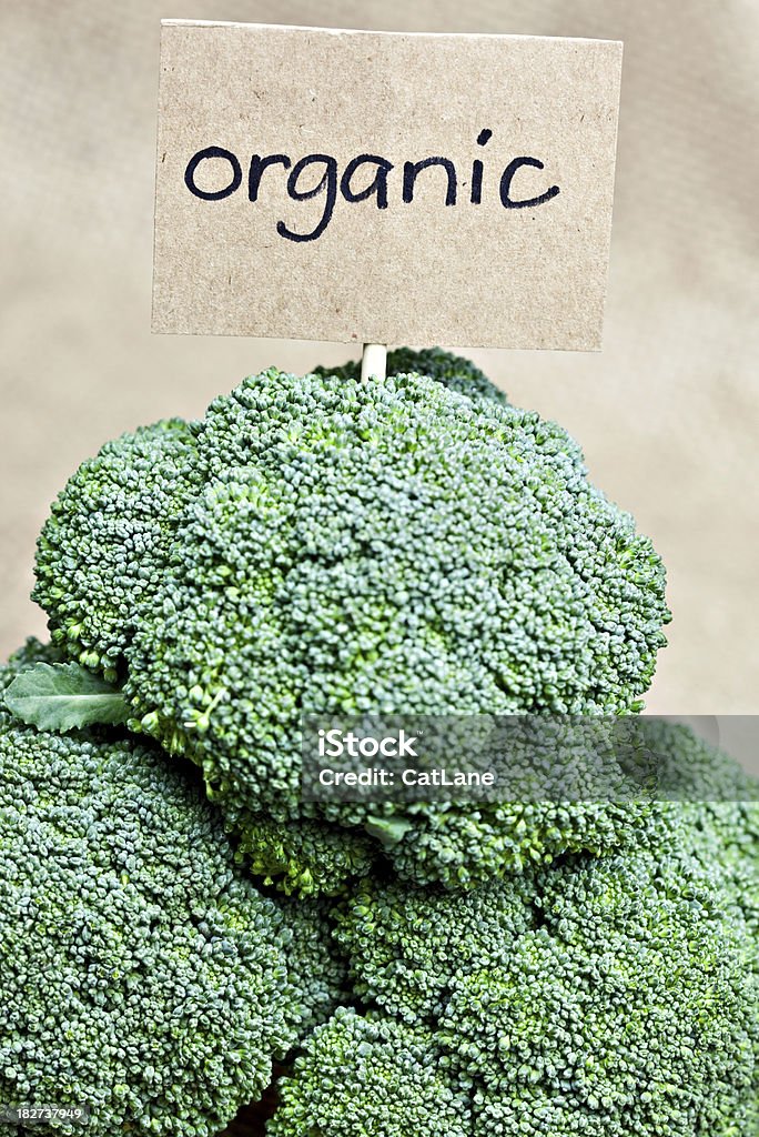 Frais Organic Brocoli - Photo de Aliment libre de droits