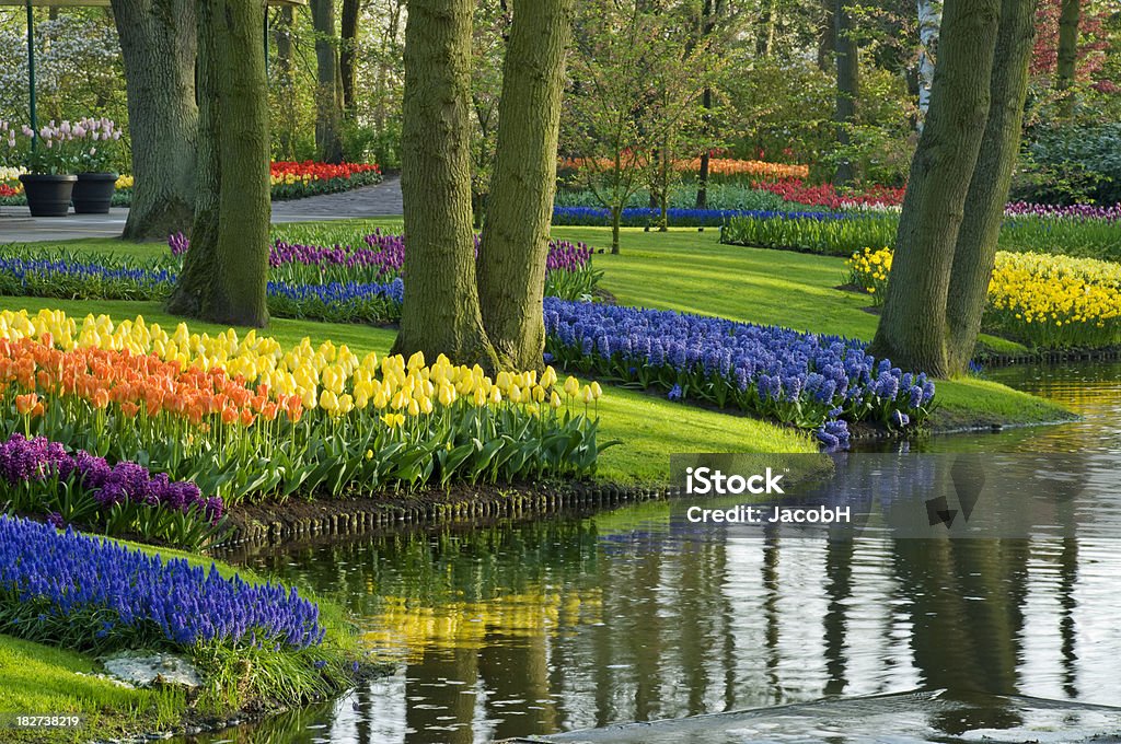 Primavera en el parque - Foto de stock de Jardines de Keukenhof libre de derechos