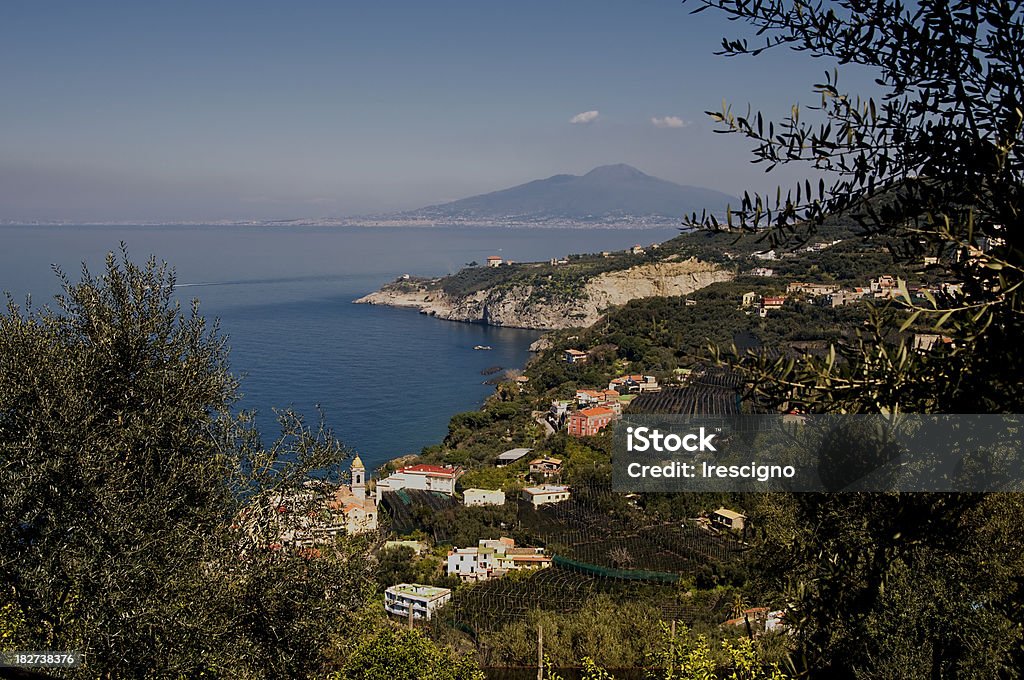 Massa Lubrense-costa sorrentina - Foto stock royalty-free di Albero