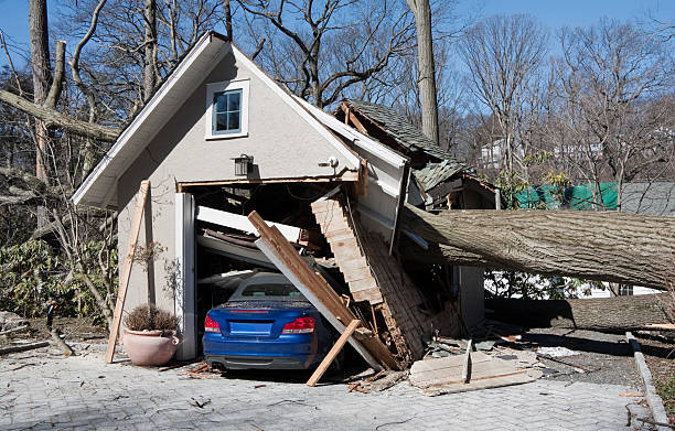 sturmschäden von baum auf einem parkhaus und parkplatz - baumstamm am boden stock-fotos und bilder