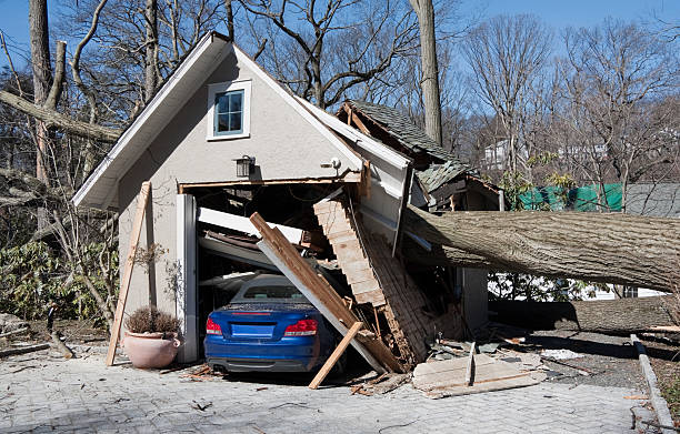 storm damage from tree onto a garage and car stock photo