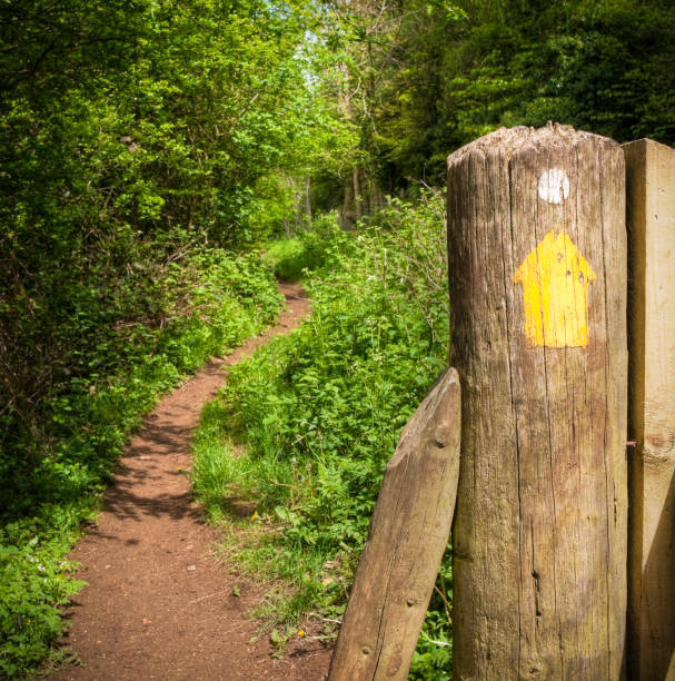 istock Countryside woodland walk and gatepost marker 182738752