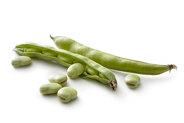 Vegetables: Broad Beans Isolated on White Background More Photos like this here... broad bean plant stock pictures, royalty-free photos & images