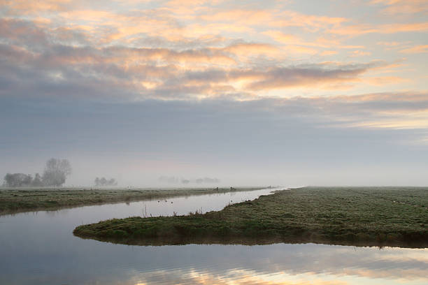 Polder with canal in the morning stock photo