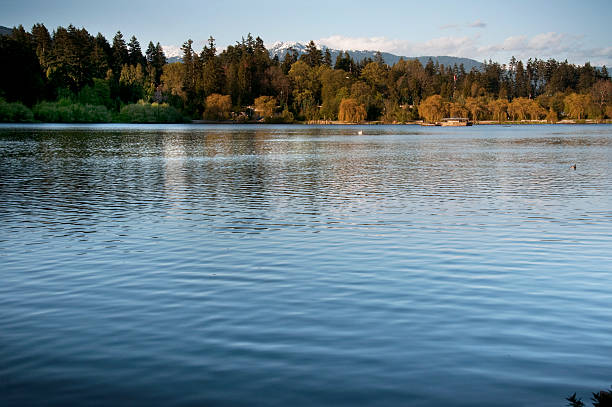istock Stanley Park Lost Lagoon, Vancouver Canada 182739926