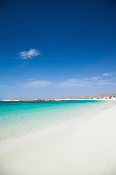 istock Beach White Sand and Turquoise Water 182739972