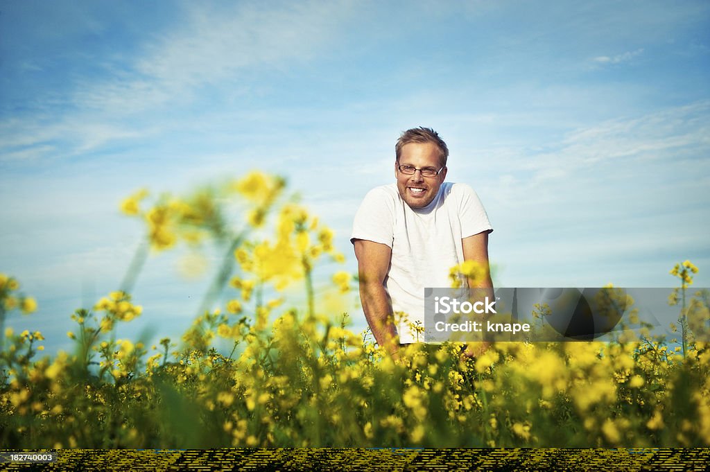 Homme dans le champ de colza - Photo de 25-29 ans libre de droits