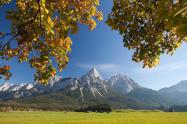 prato estivo vicino ehrwald - sonnenspitz foto e immagini stock